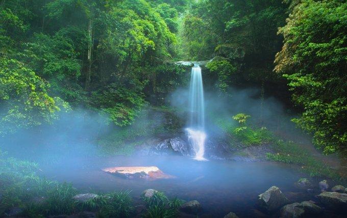 太阳花幼苗不移栽可以吗?知识星球,专注知识分享